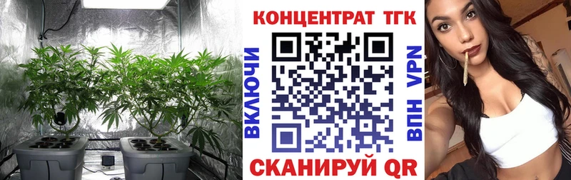 blacksprut ссылка  Черкесск  Дистиллят ТГК Wax 