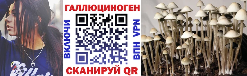 Галлюциногенные грибы мицелий продажа наркотиков Черкесск