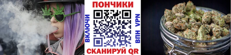 Бошки марихуана семена  закладки  Черкесск 